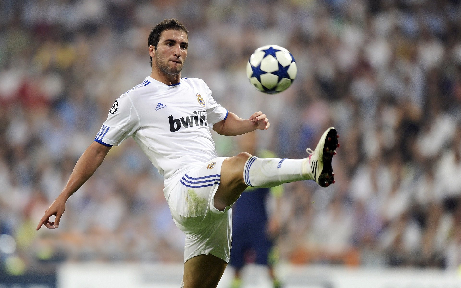 “腰旗美式橄榄球：东部新区赛场成全民热议的运动话题”